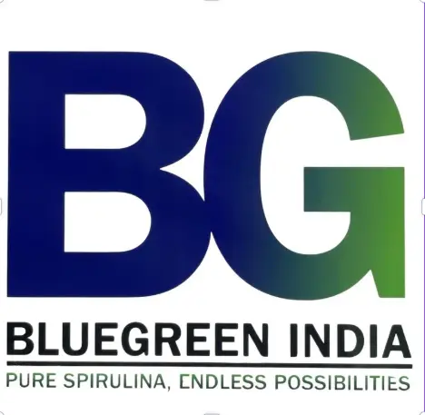 CSS.IO